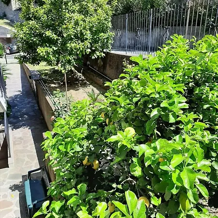 Apartment Mare E Monti *